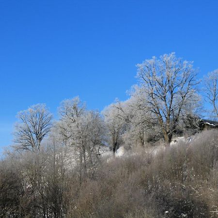 SuiteHotel BELVEDERE Appart&Chalet Waldeck  Buitenkant foto