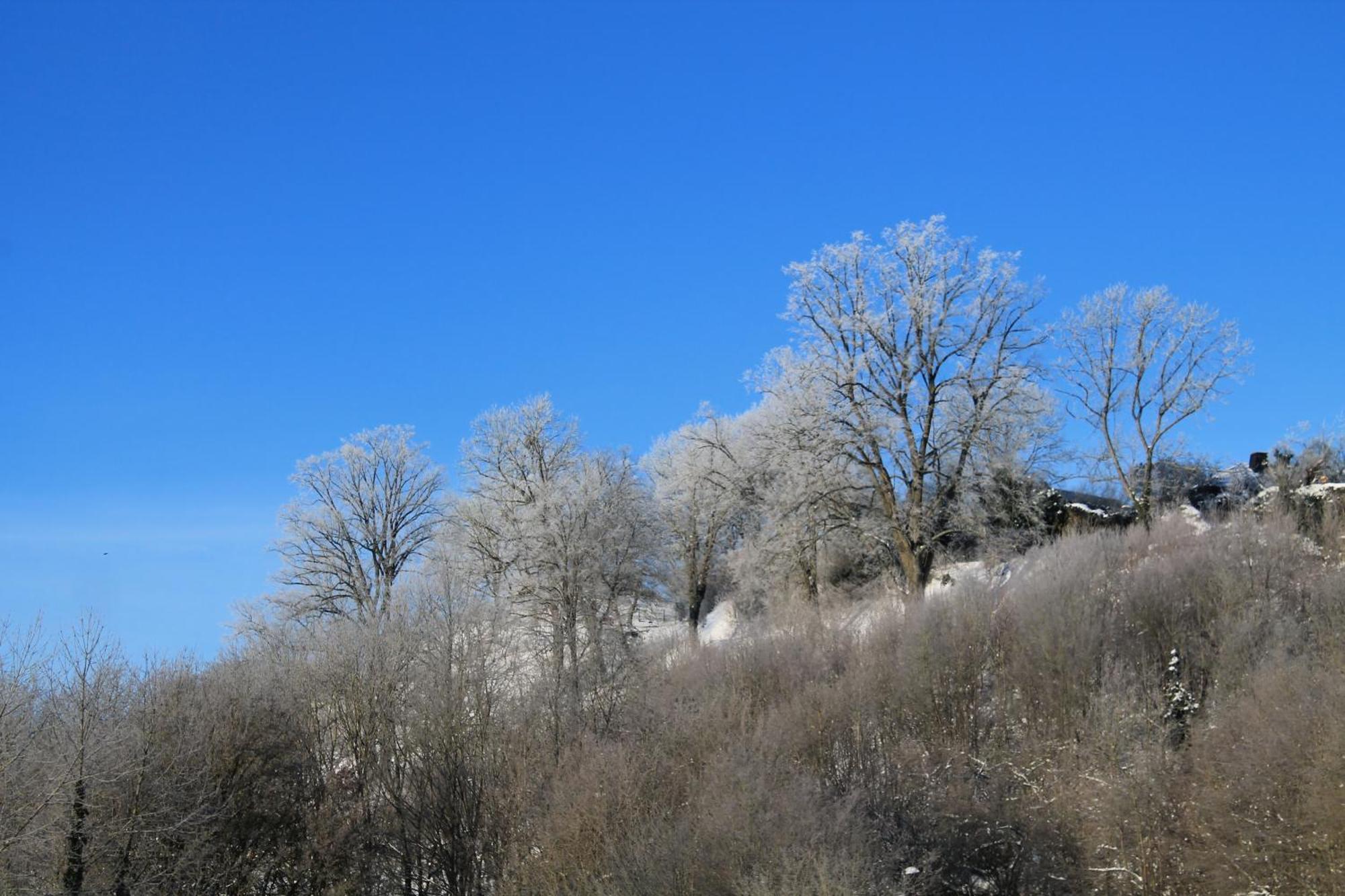 SuiteHotel BELVEDERE Appart&Chalet Waldeck  Buitenkant foto